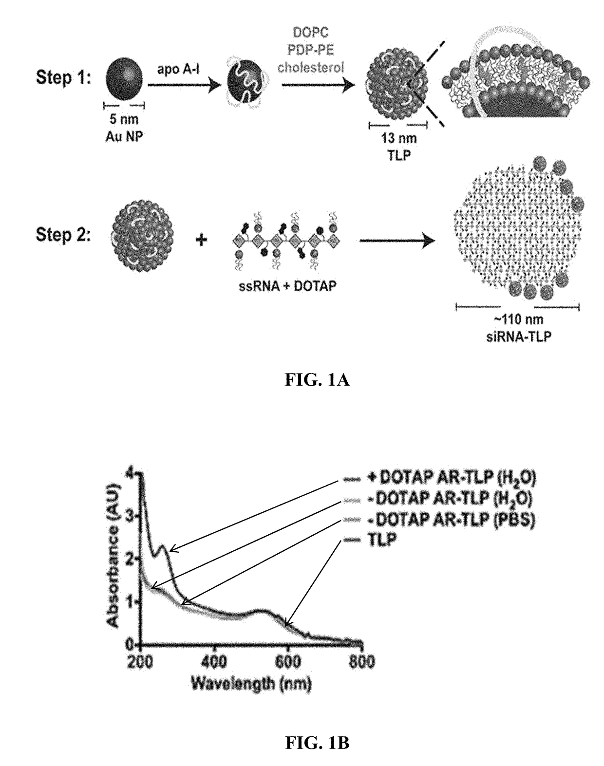 Short interfering RNA templated lipoprotein particles (sirna-tlp)