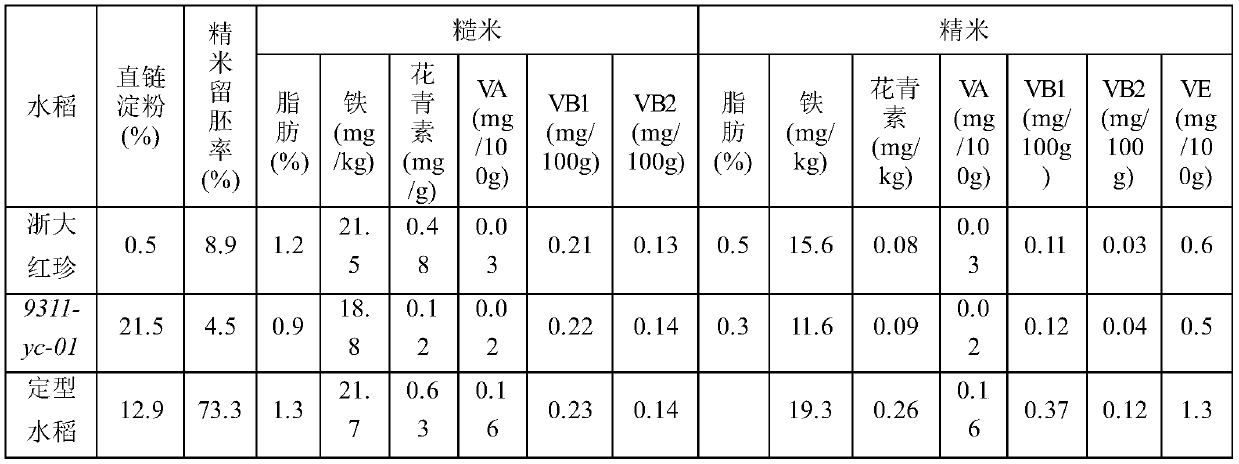 Method for breeding yellow-leaf red-rice paddy rice