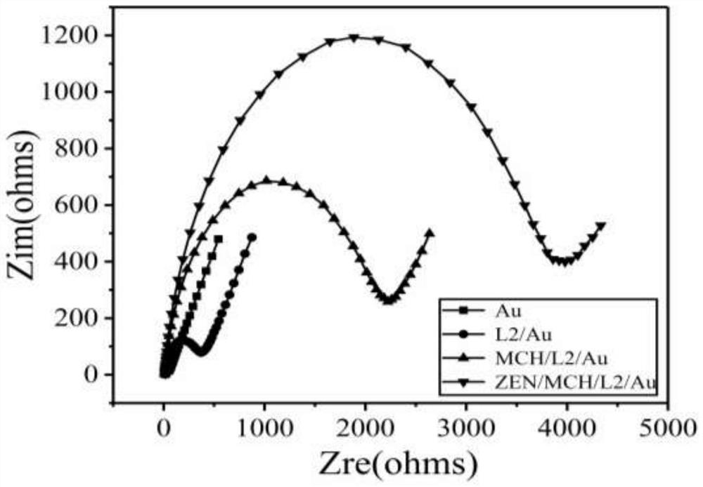 Preparation method of electrochemical sensor of zearalenone specific polypeptide