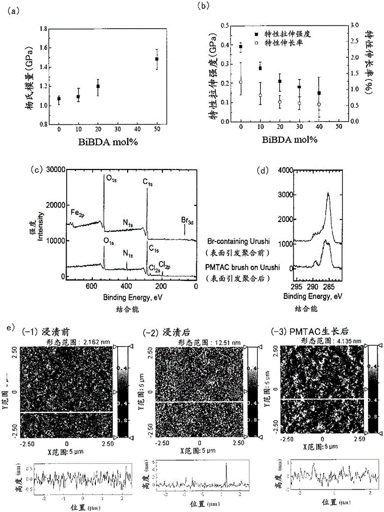 Novel composite material, and polymer coating material precursor produced using same