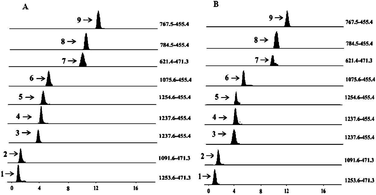 Method for performing qualitation and quantification on triterpenoid saponin in traditional Chinese medicine by utilizing electrospray protonation pyrolysis-mass spectrum multi-reaction detection mode