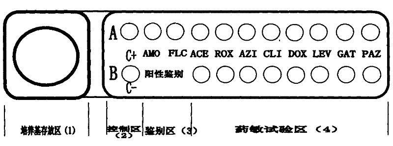 Mycoplasma culture identification and medicine sensitive detection plate and method for identifying truth of result of C+ hole