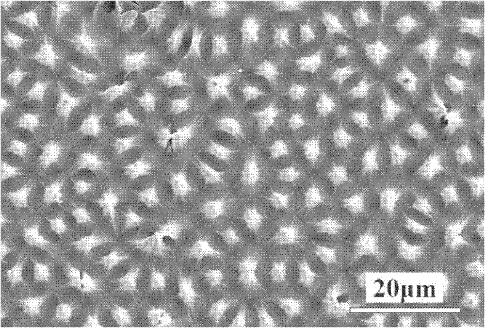 Micron/nanocone array of germanium and preparation method thereof