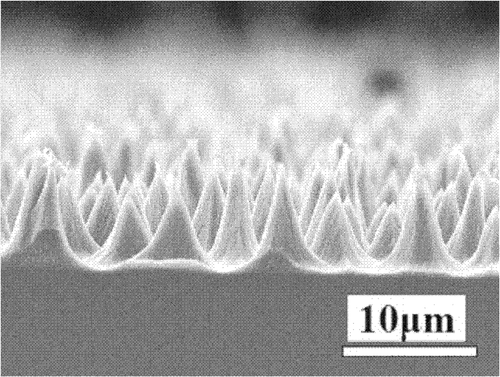 Micron/nanocone array of germanium and preparation method thereof