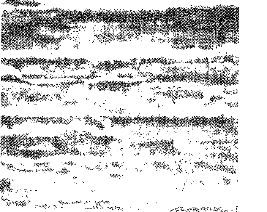 Method for preparing dipping molybdenum alloy