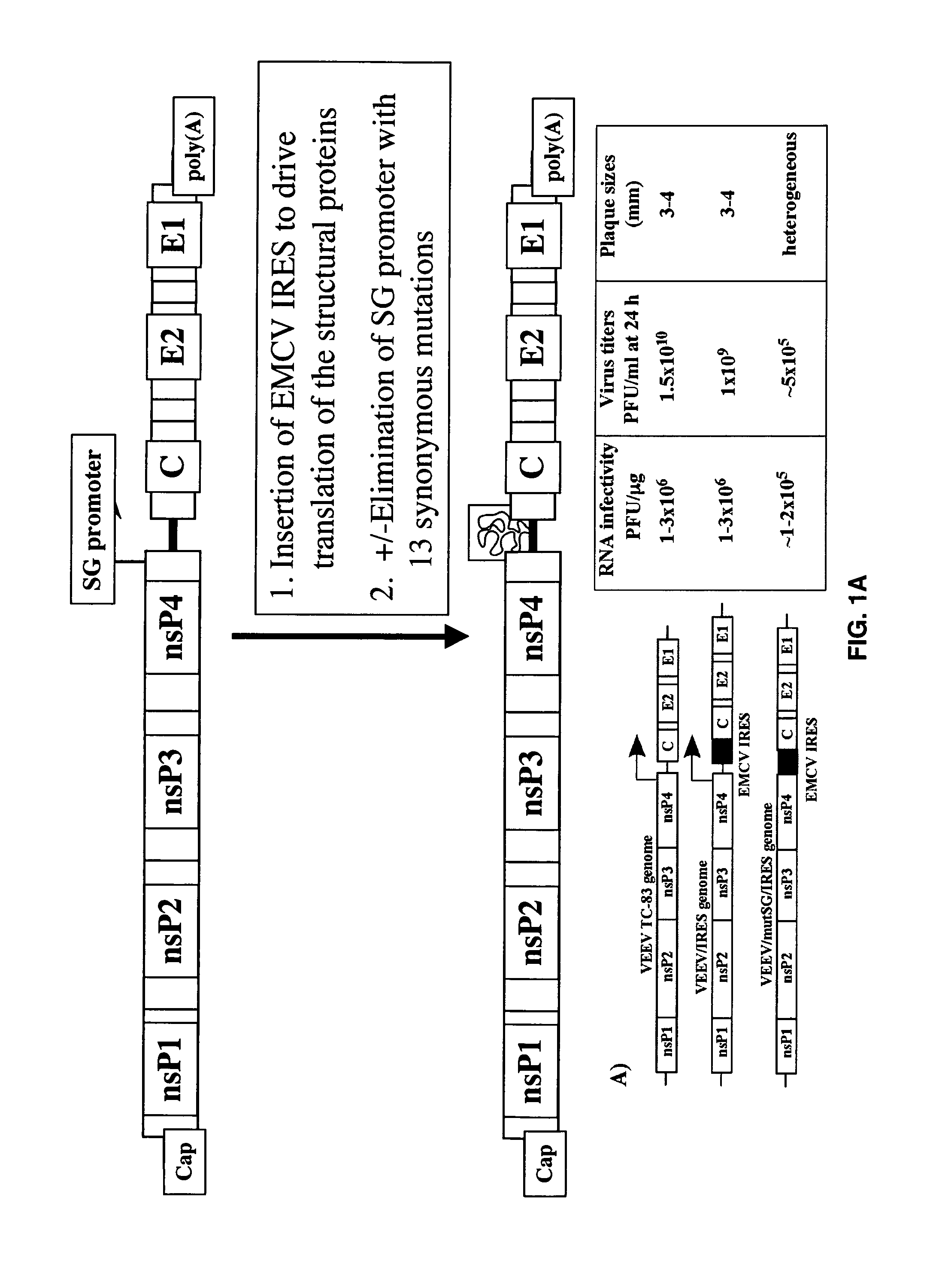 Attenuated recombinant alphaviruses incapable of replicating in mosquitoes and uses thereof
