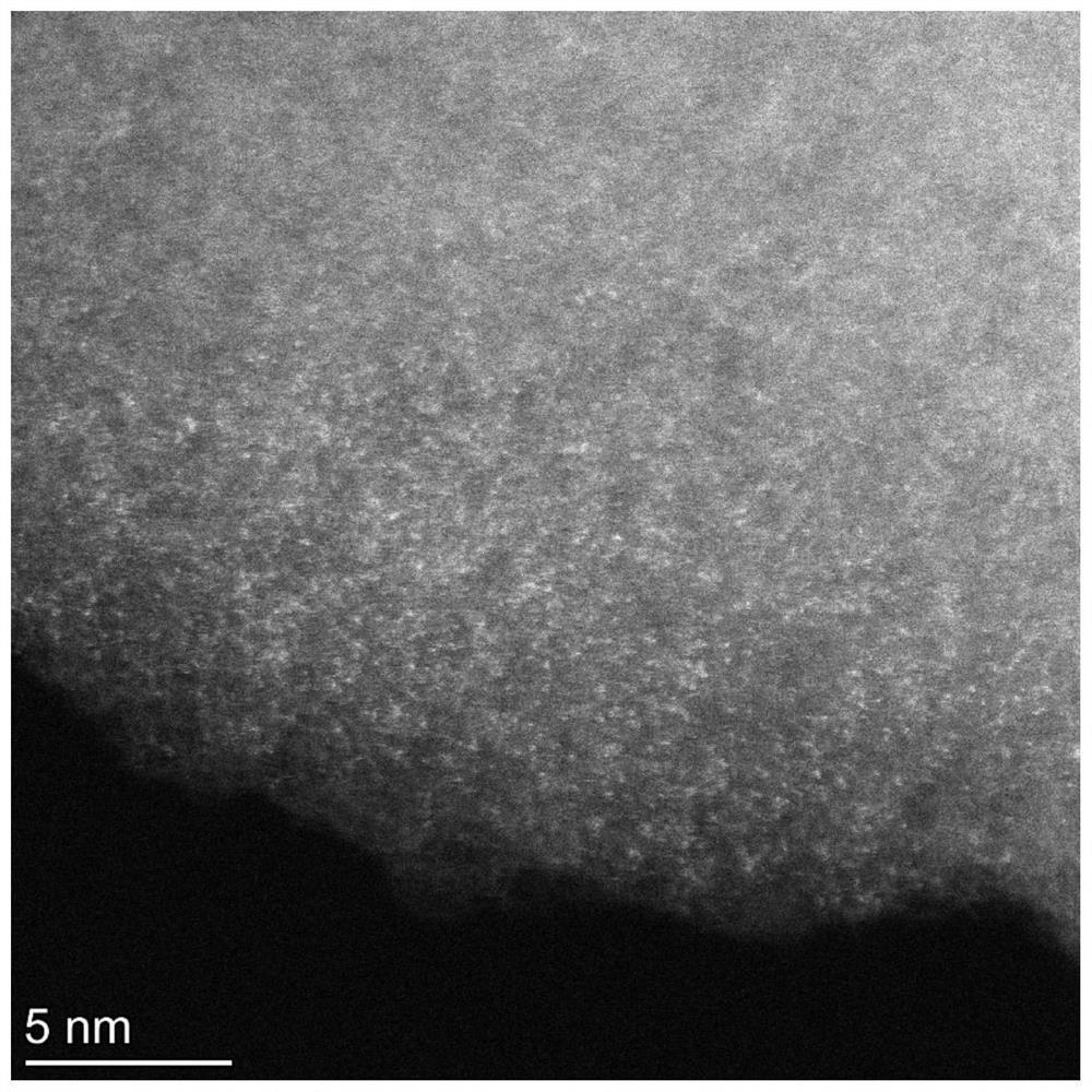 Conjugated polymer loaded high-concentration monatomic metal site heterogeneous catalyst and preparation method thereof