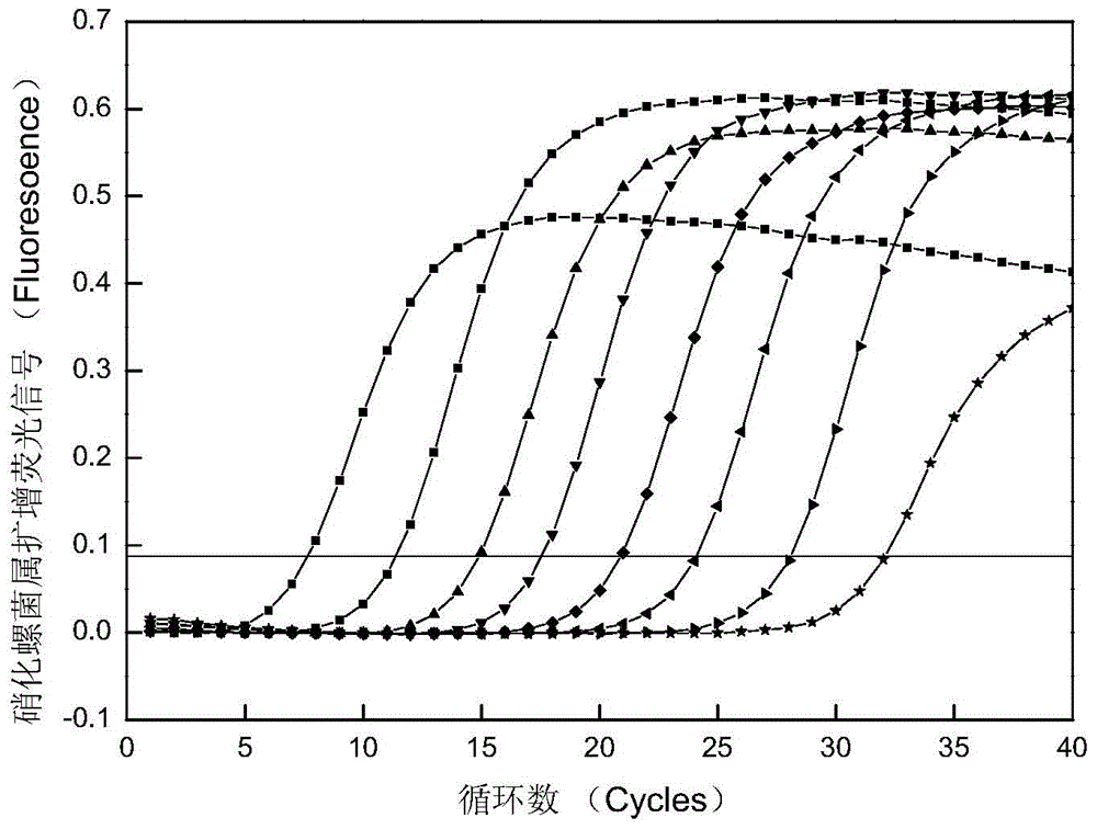 Fluorescent quantitative PCR detection method of nitrite oxidizing bacteria from sewage treatment plant