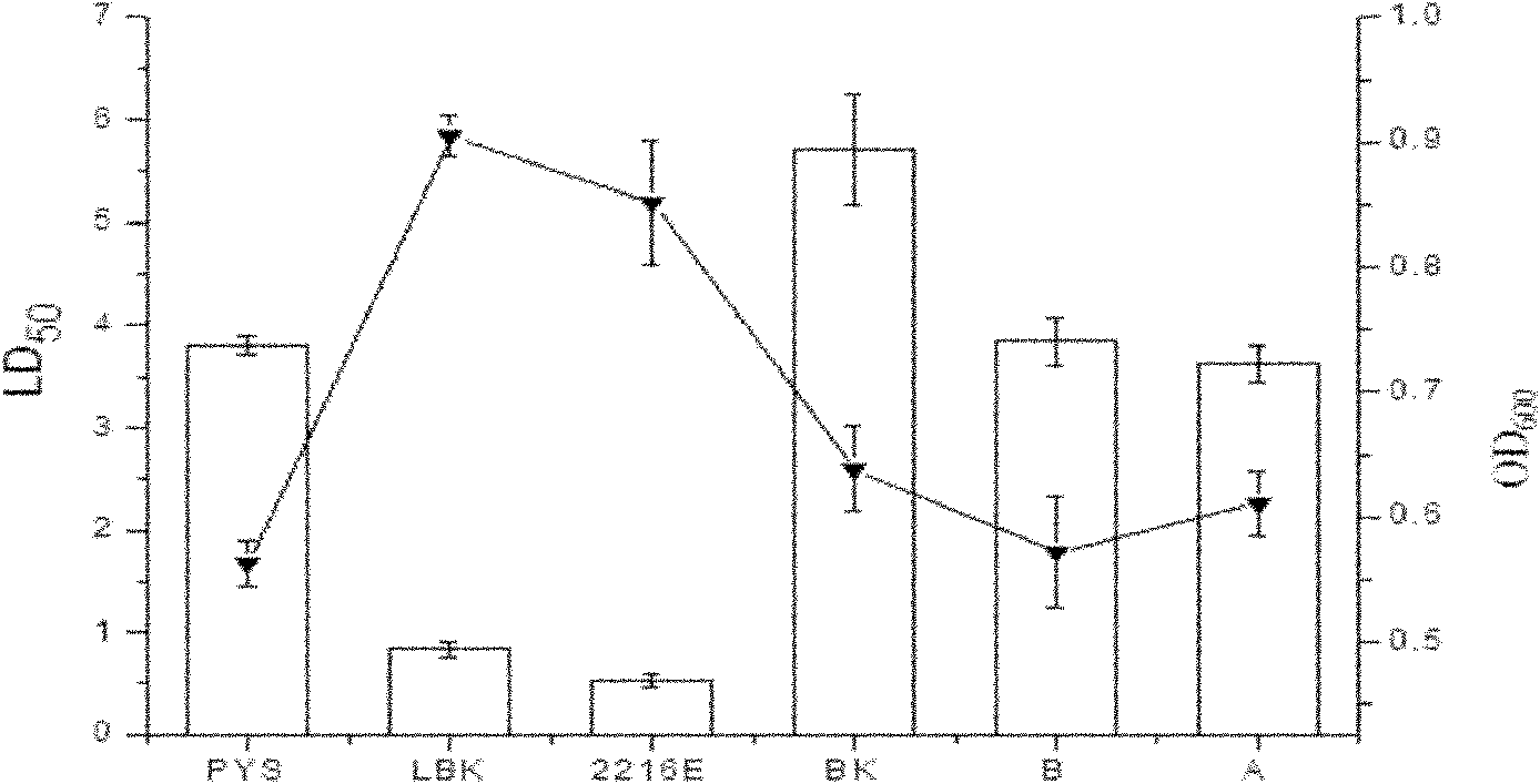 Culture medium for microvesicle bacteria BS03 and preparation method thereof