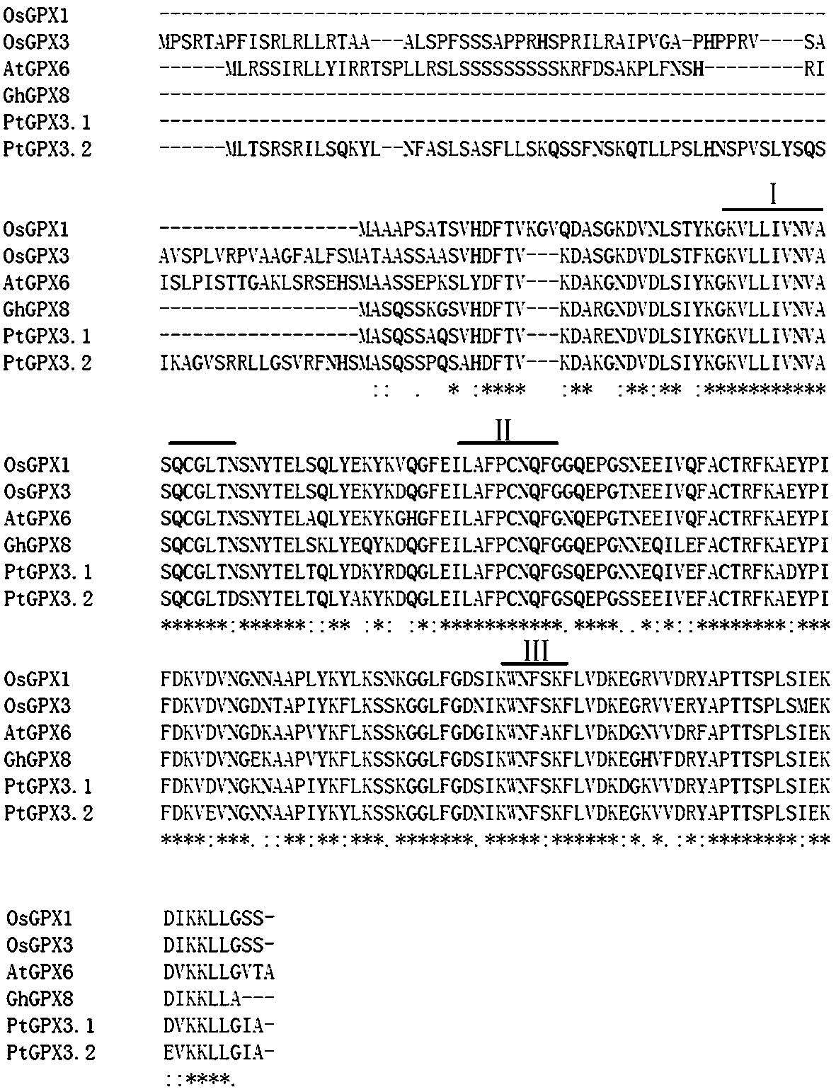 Cotton glutathione peroxidase ghgpx8 and its application