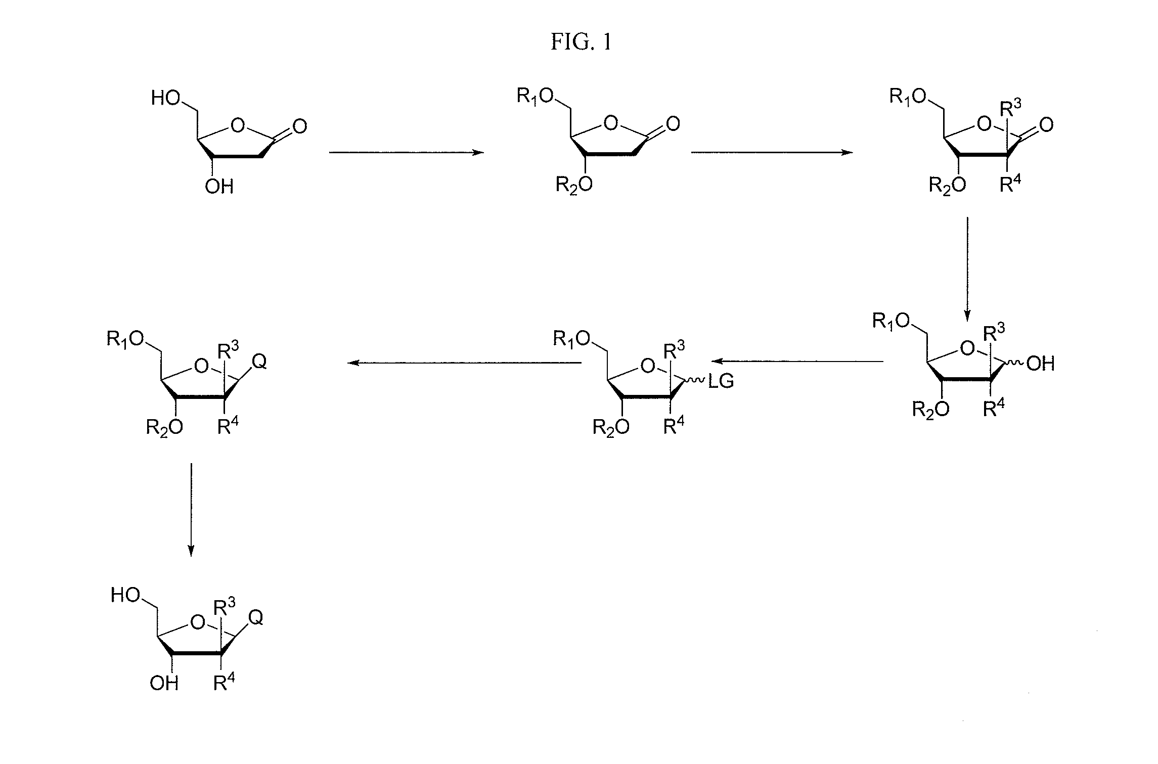 2-fluorinated riboses and arabinoses and methods of use and synthesis
