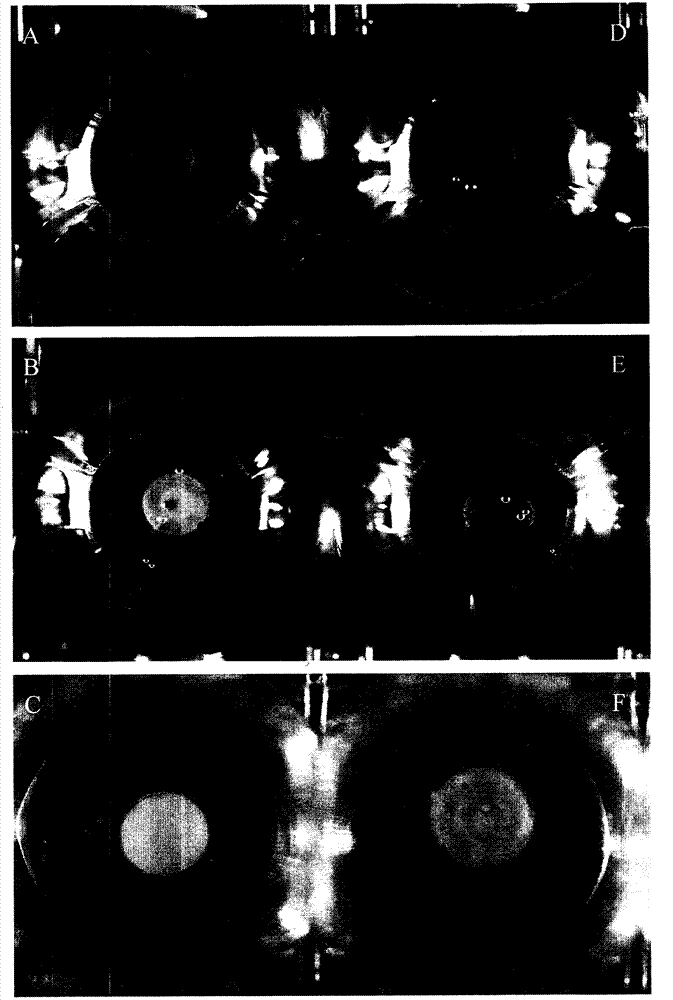 Use of 2-mercapto-3-butanol in preparation of anti-lenticular opacity products