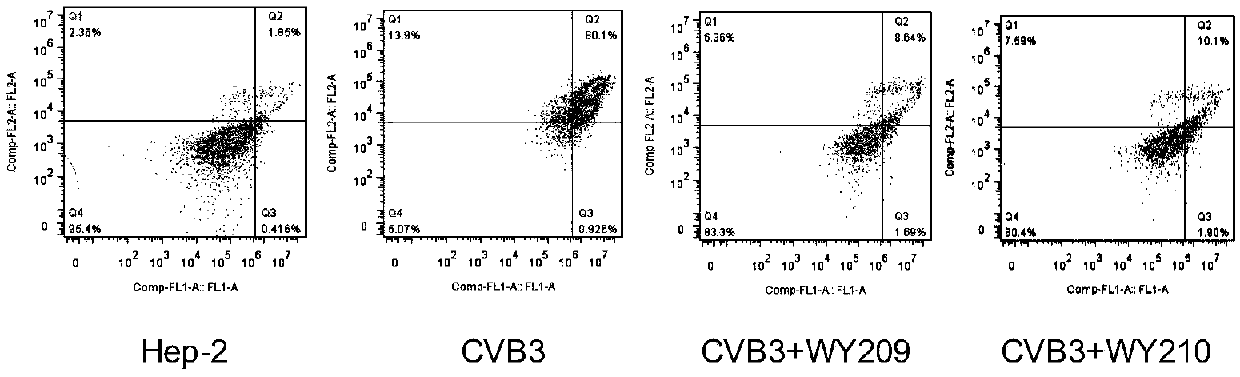 Application of nitrogen-containing heterocyclic ester compounds in the preparation of drugs against Coxsackie virus type b3