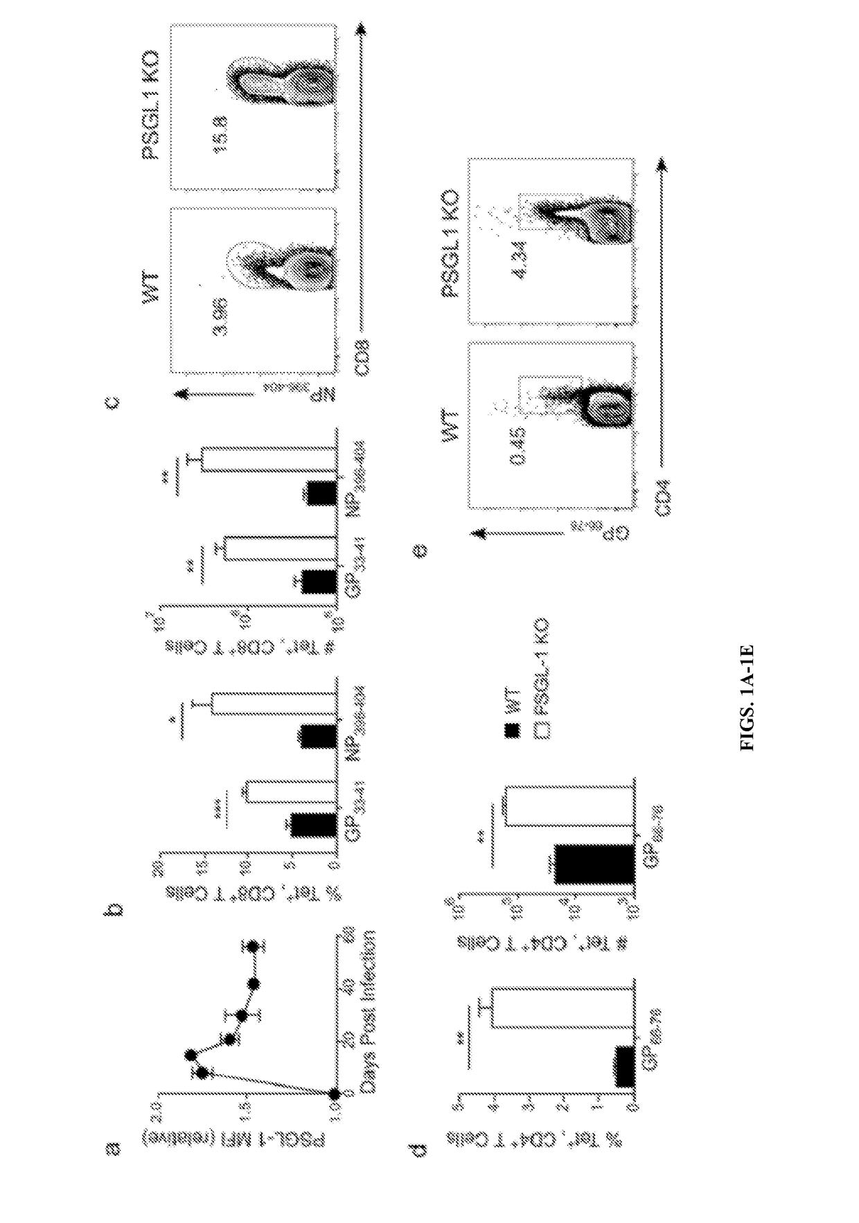 Psgl-1 modulators and uses thereof