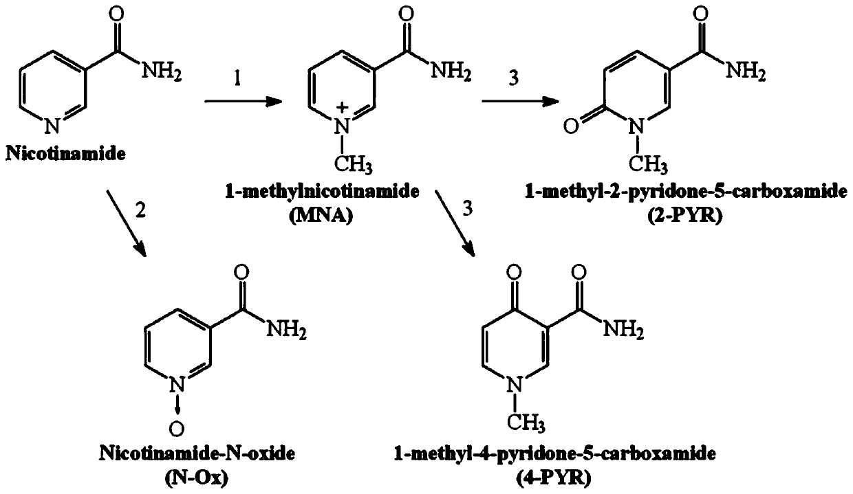 Edible compound recipe mitochondrial energy enhancing formula