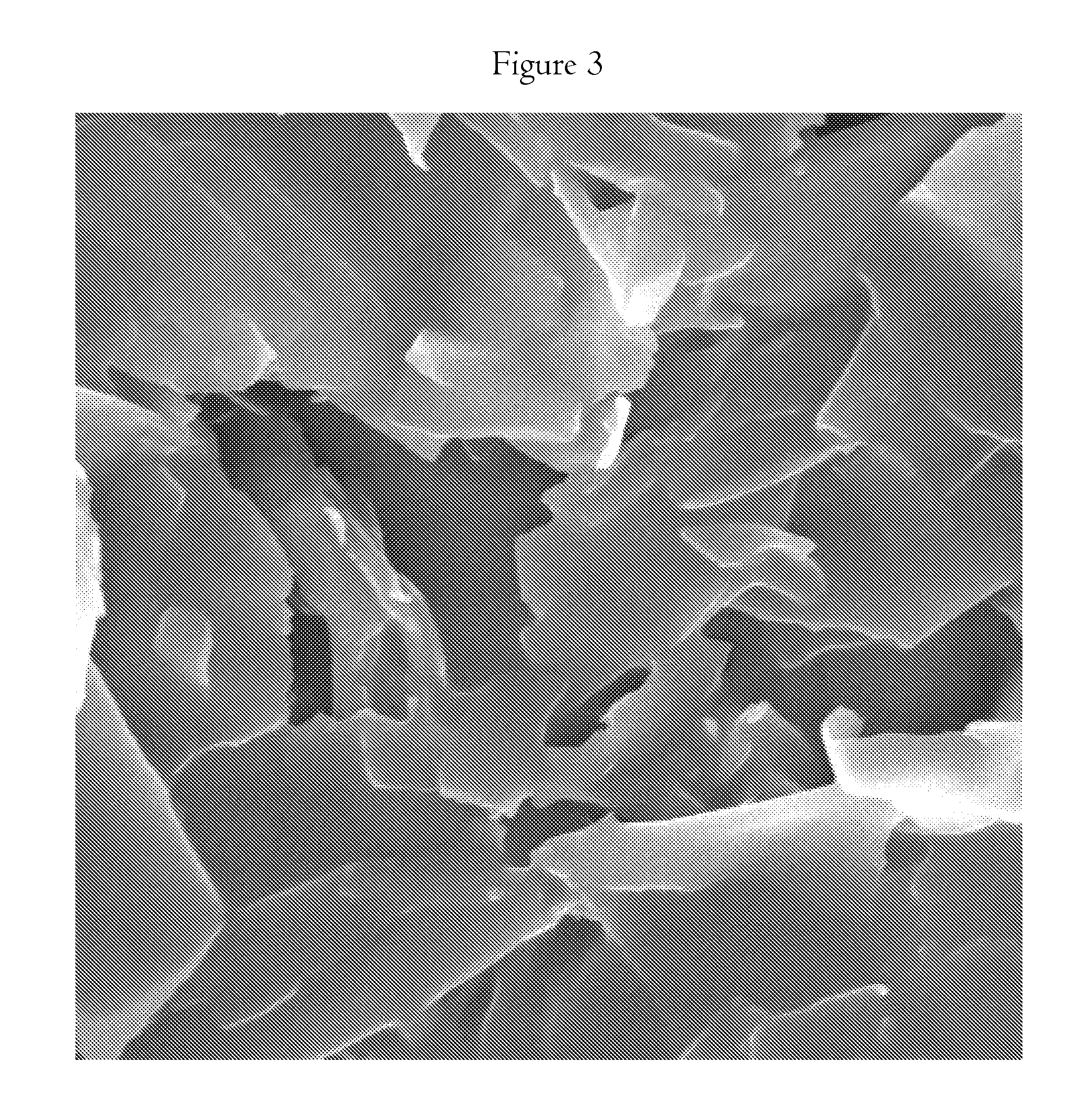 Method for Producing Thin Flake