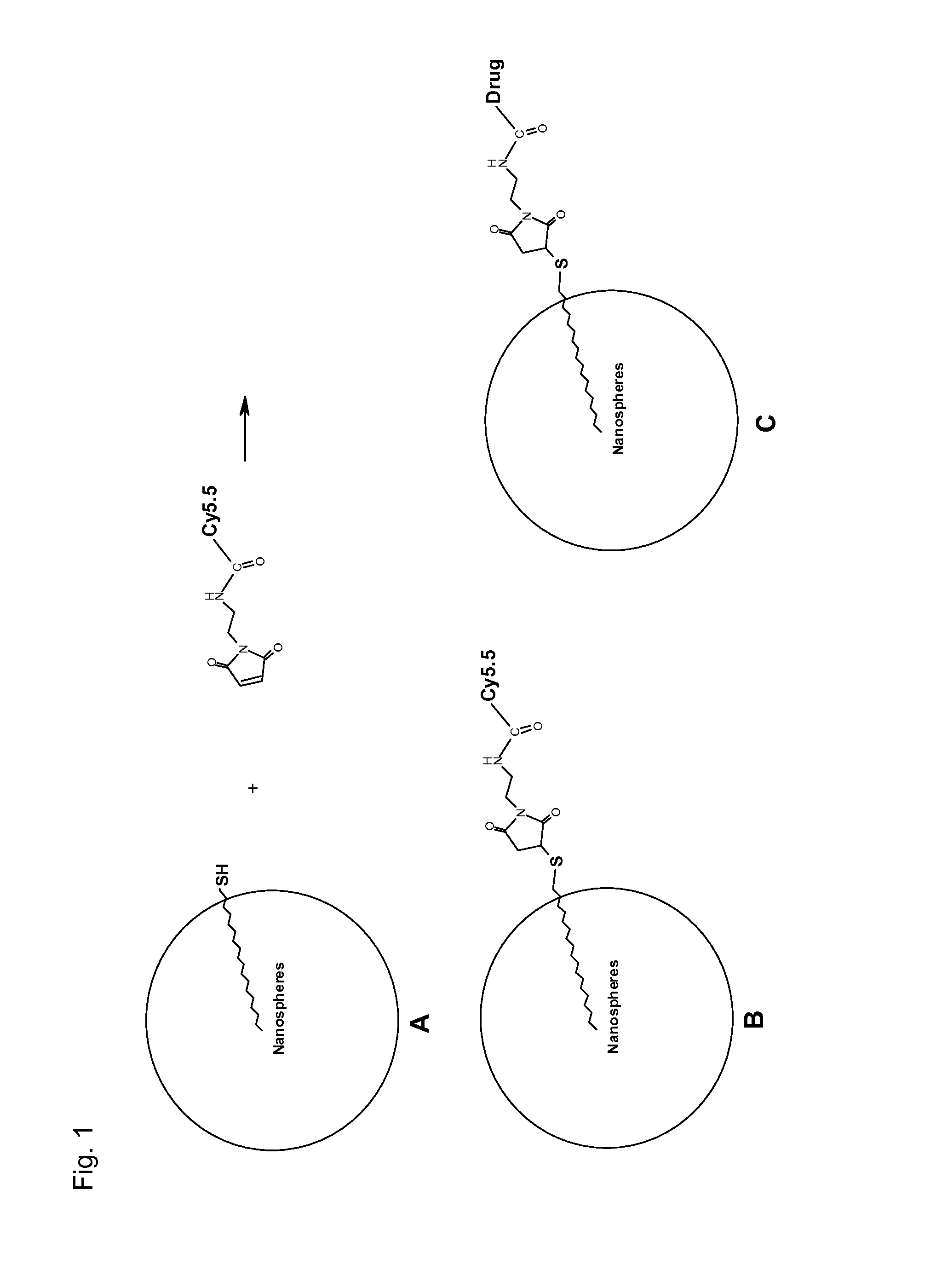 Antioxidant, neuroprotective and antineoplastic nanoparticles comprising a therapeutic agent on an amphiphilic spacer or an amphiphilic polymer