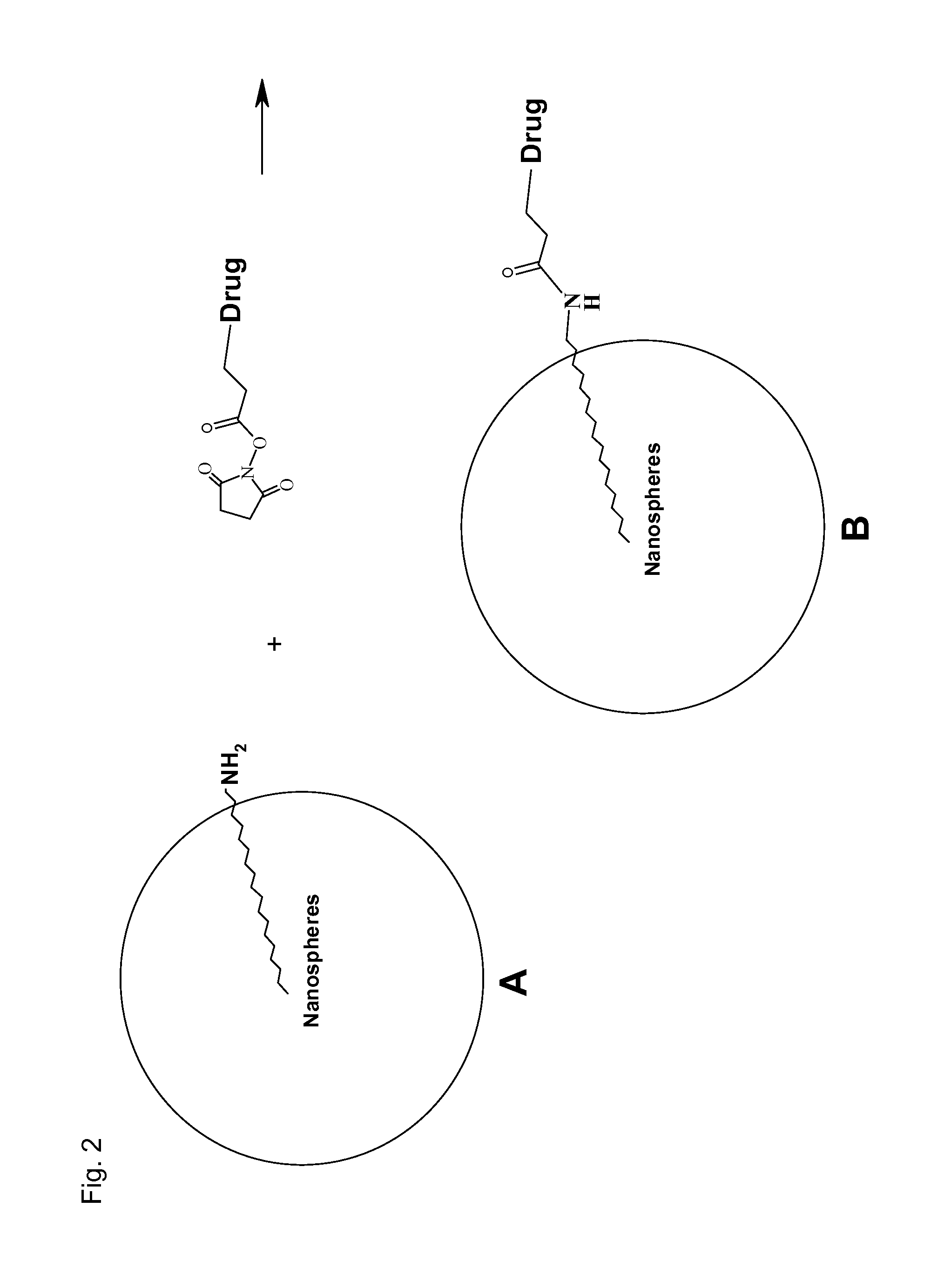 Antioxidant, neuroprotective and antineoplastic nanoparticles comprising a therapeutic agent on an amphiphilic spacer or an amphiphilic polymer