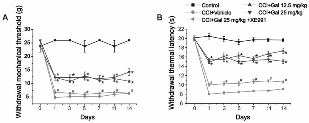 Application of galangin and derivatives thereof in preparation of drugs for preventing and treating nervous system diseases