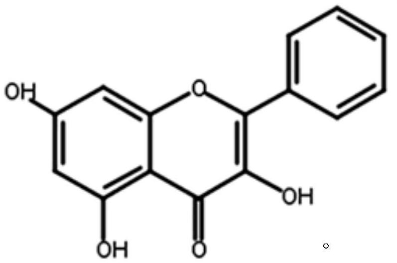 Application of galangin and derivatives thereof in preparation of drugs for preventing and treating nervous system diseases