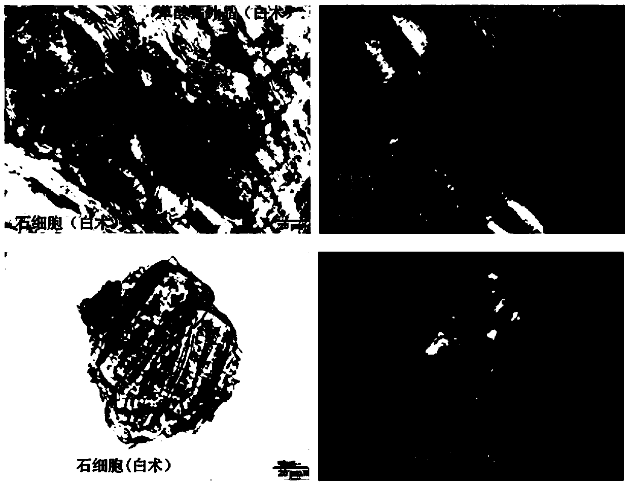 Method for identifying spleen arousing pill