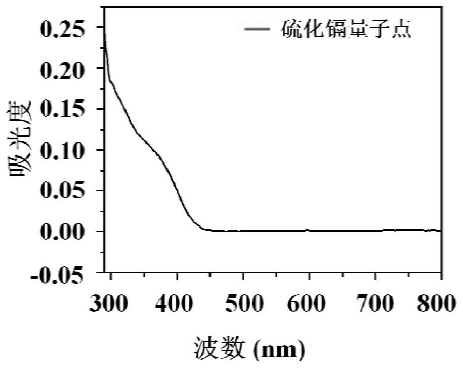 Preparation method and application of cadmium sulfide quantum dots