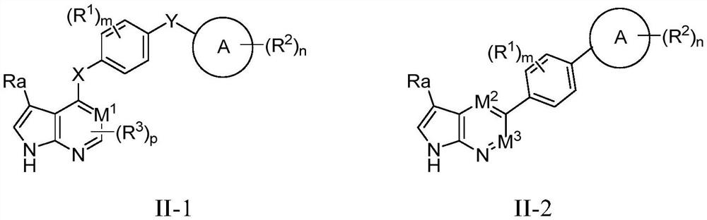 Novel HPK1 inhibitor as well as preparation method and application thereof