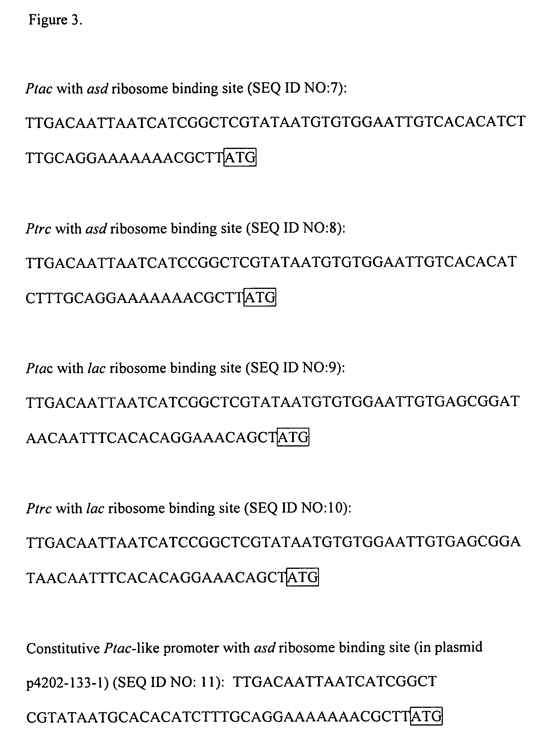 Escherichia coli strains that over-produce L-threonine and processes for their production