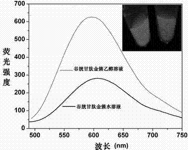 Method for manifesting latent fingerprints on basis of fluorescent gold nanoclusters