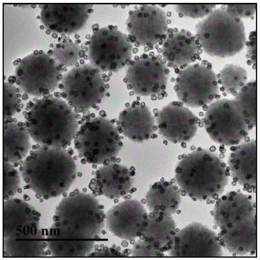Fungaltoxin duplex detection method based on Raman beacon molecular coding silver @ gold core-shell nanometer particles