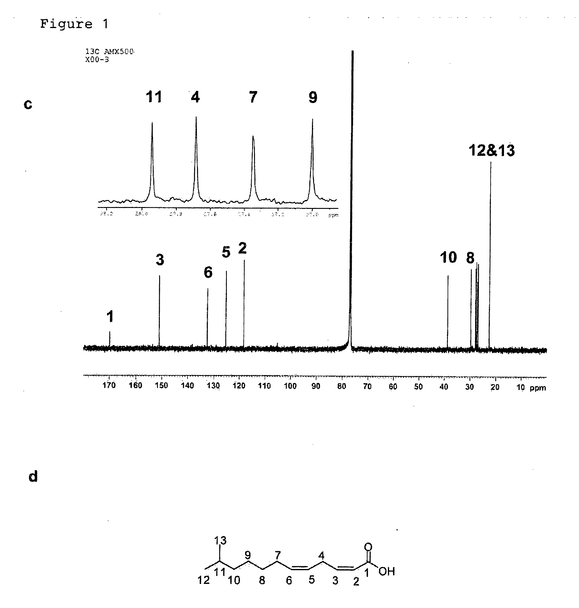Novel antimicrobial compounds and uses thereof