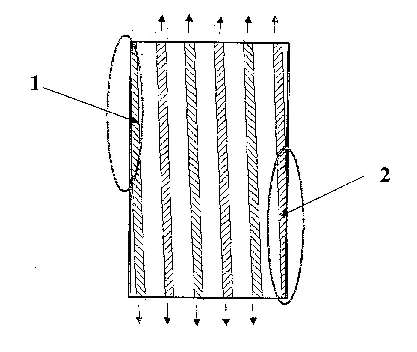 Starter Alternator Assembly Comprising a Poli-V Belt and Poli-V Belt