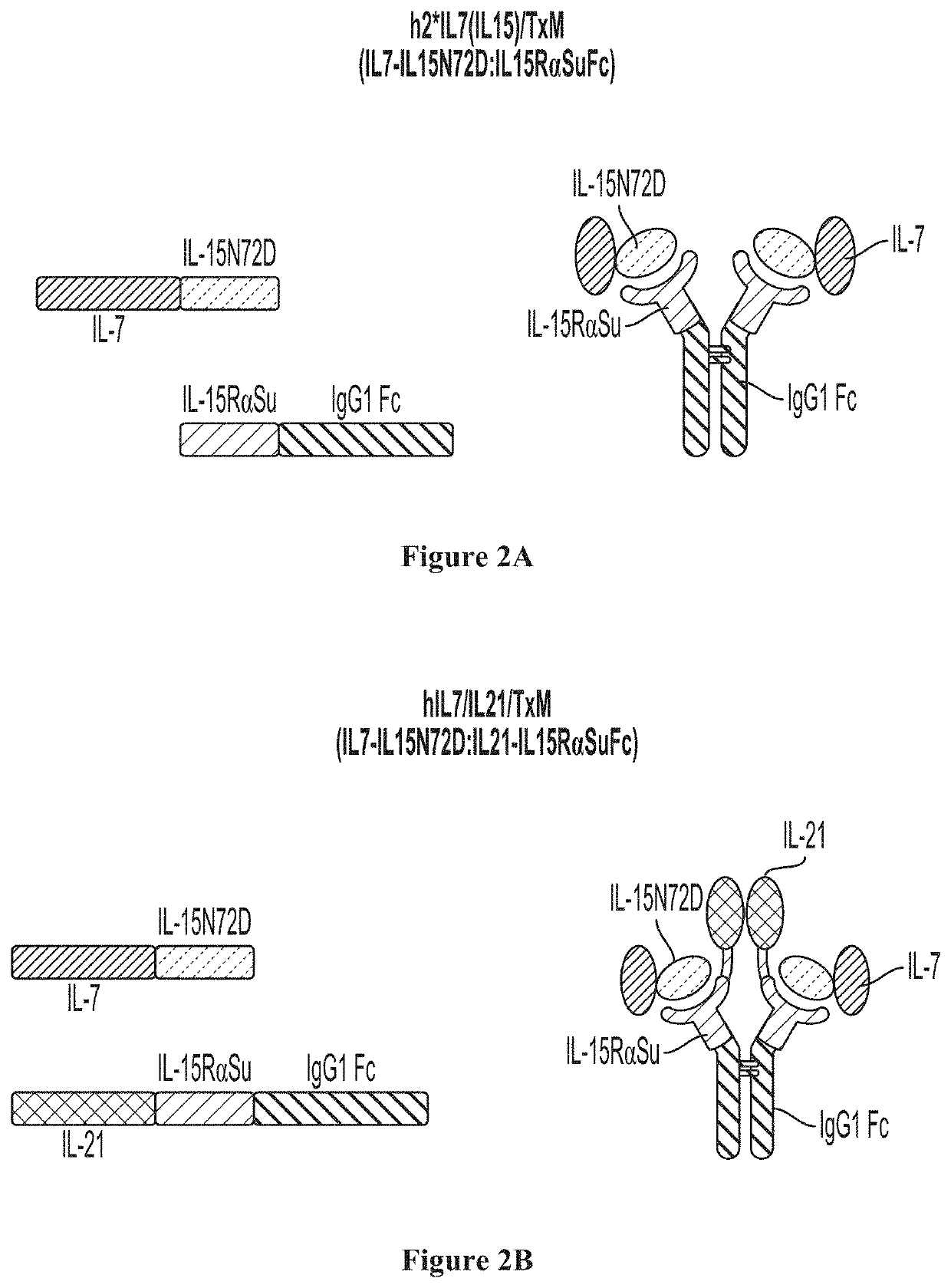 IL7-IL15 TxM Compositions and Methods