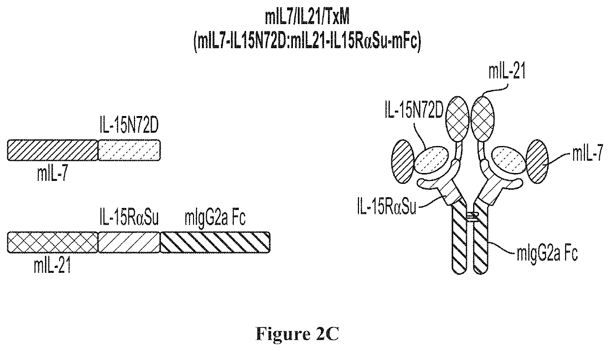 IL7-IL15 TxM Compositions and Methods