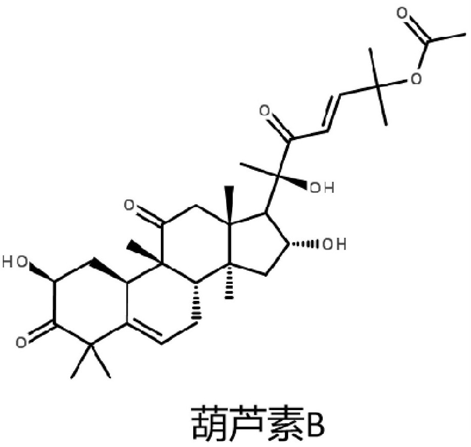 Application of cucurbitacine B and derivatives thereof in preparation of anti-tumor drug-resistant drugs