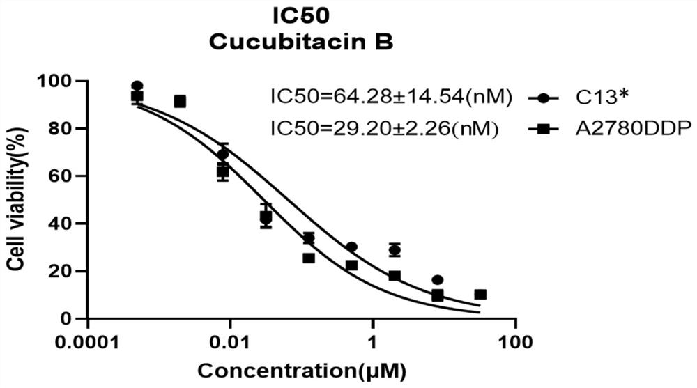 Application of cucurbitacine B and derivatives thereof in preparation of anti-tumor drug-resistant drugs
