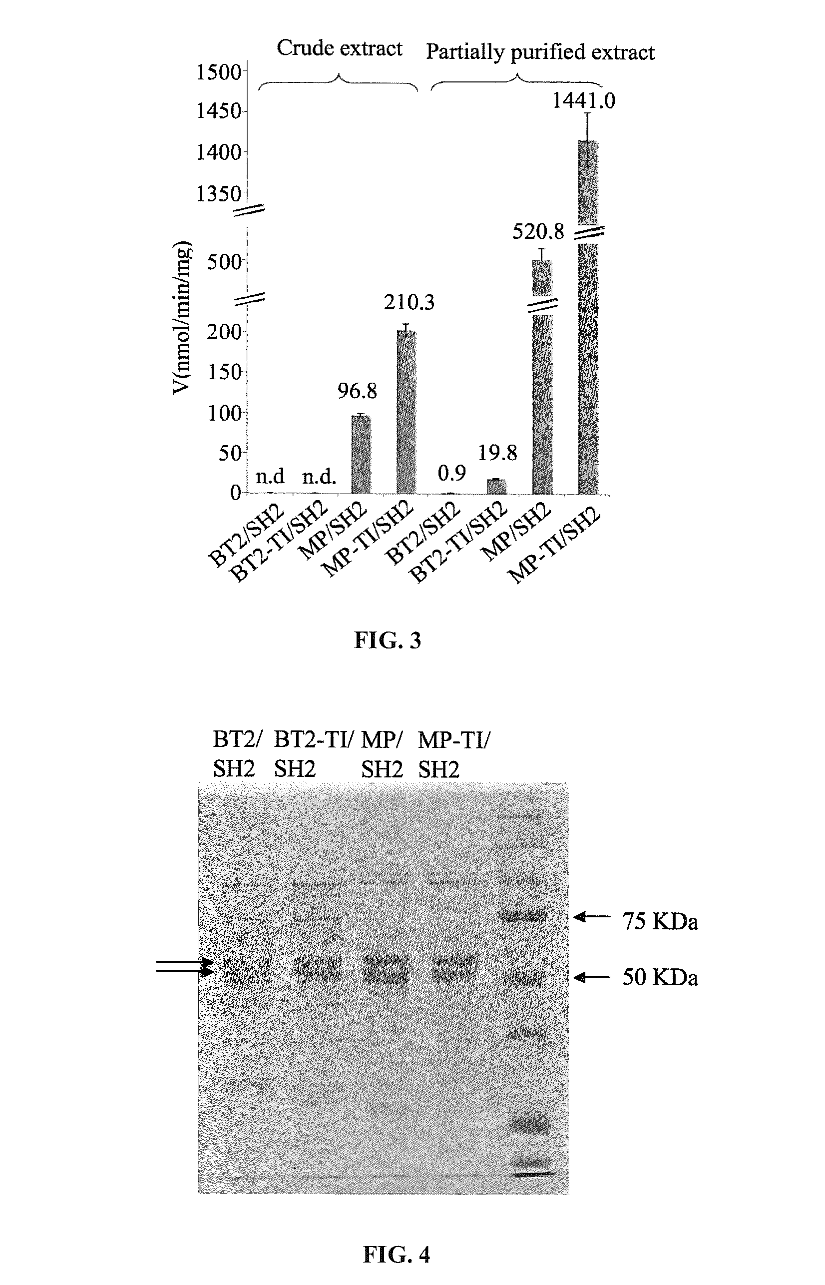 Heat resistant plants and plant tissues comprising a variant adenosine diphosphate glucose pyrophosphorylase small subunit protein and methods of use thereof