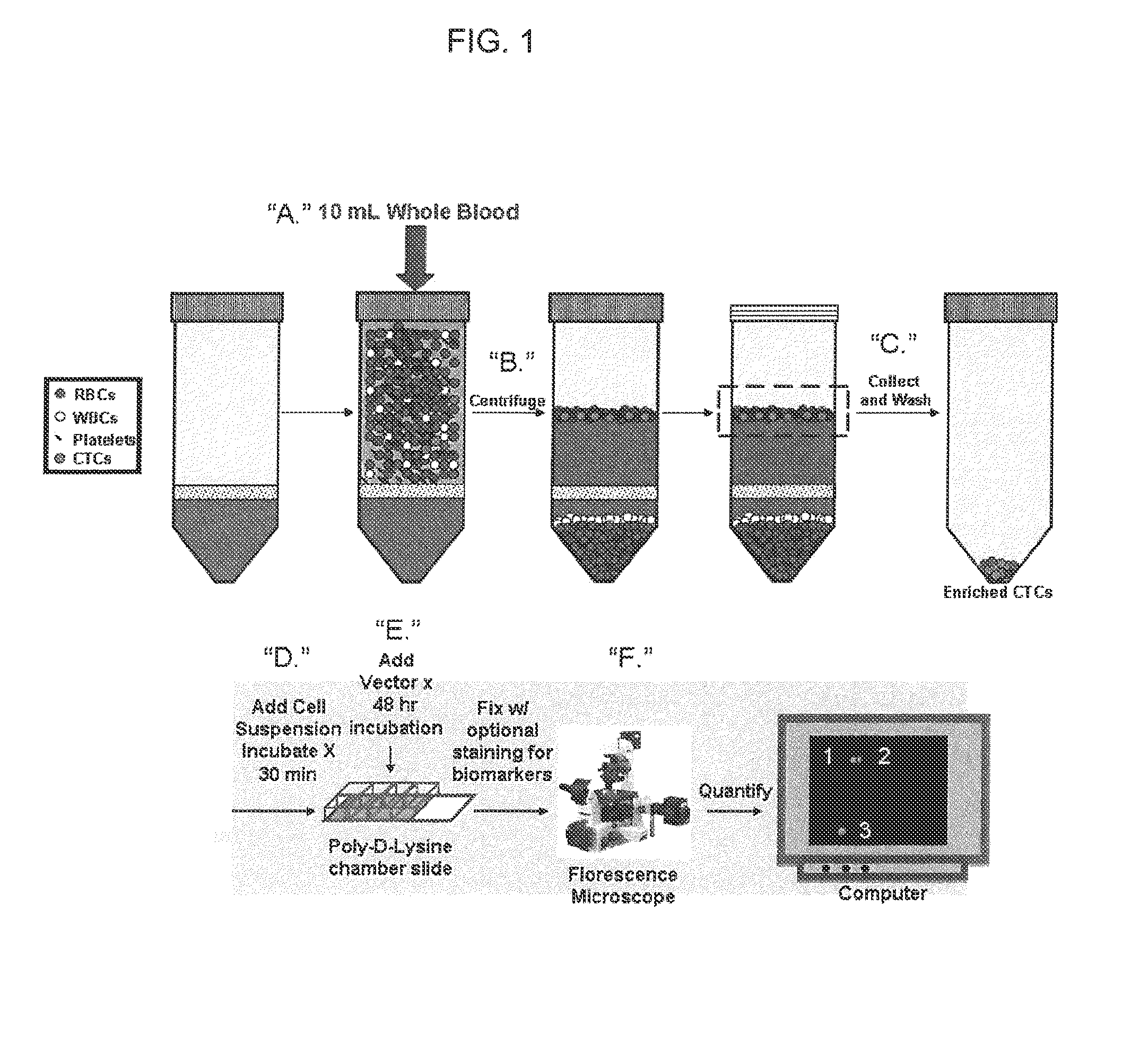 Compositions, methods and microfluidics device for telomerase based in vitro diagnostic assays for detecting circulating tumor cells (CTC)