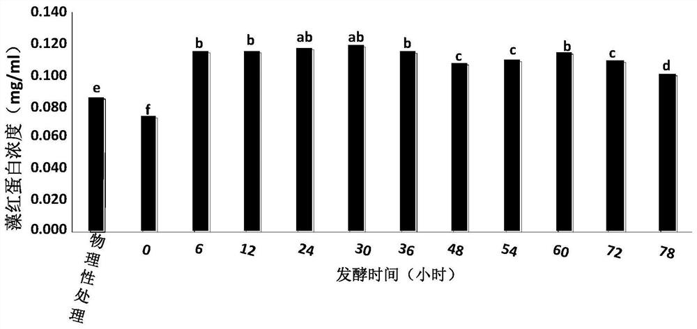 A preparation method for improving phycoerythrin yield