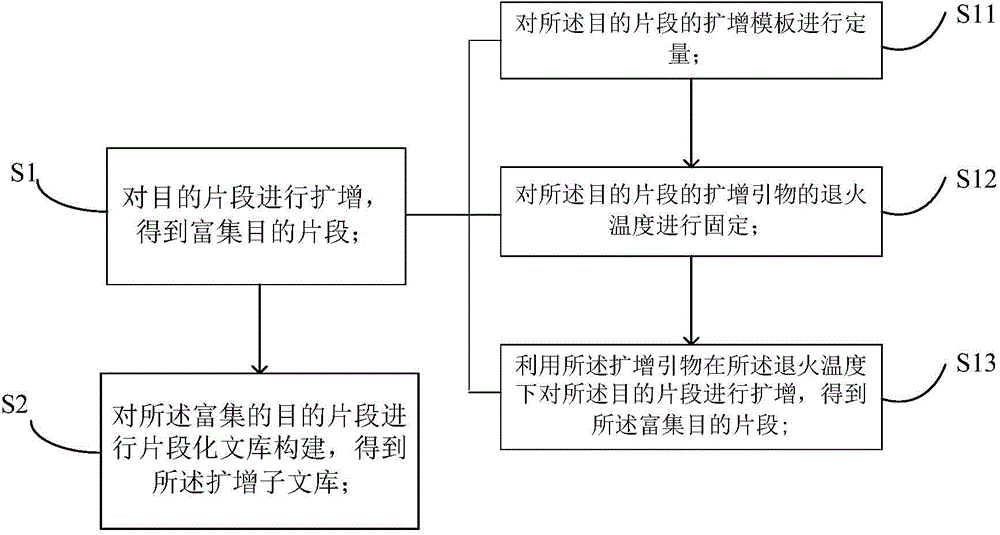 Method for constructing amplicon library