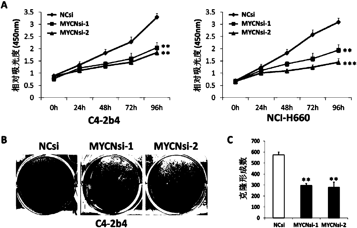 Application of combination of N-Myc inhibiting agent and Olaparib to preparation of medicine for treating prostatic cancer