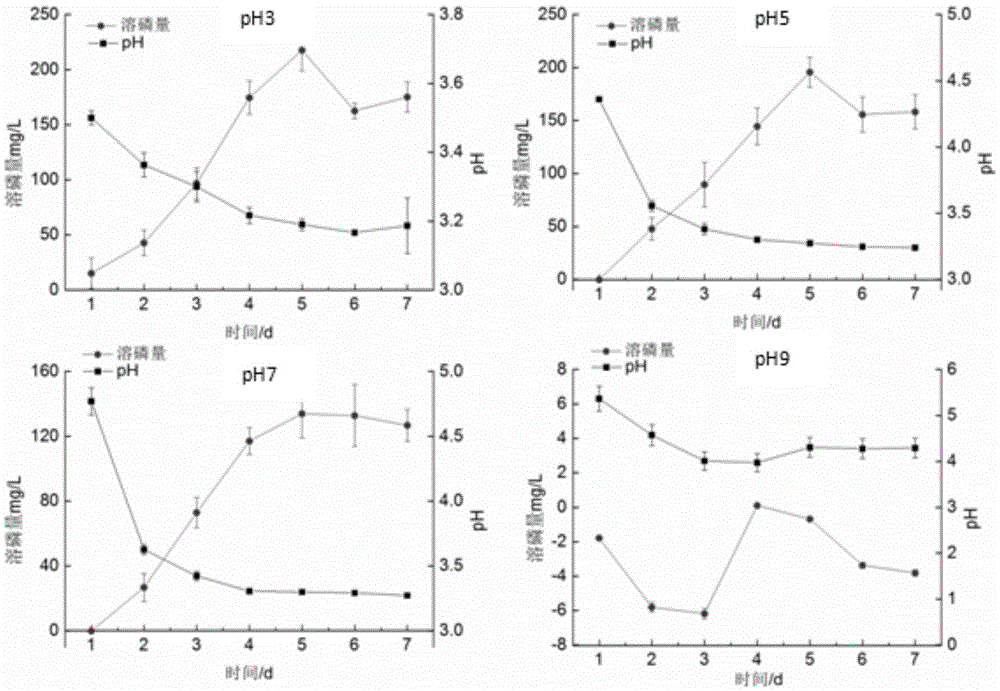 Penicillium janthinellum for decomposing hard-soluble aluminum phosphate in acid soil and application thereof