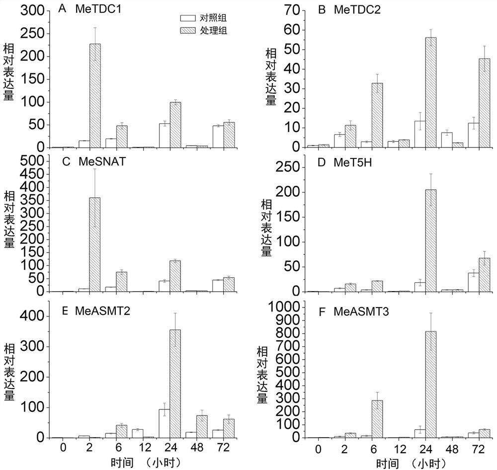 A method for improving melatonin content in cassava