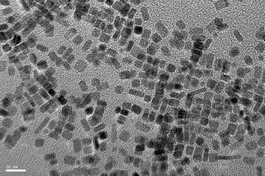 Controllable precious metal nanocatalyst synthesis method with amino acid as soft templates