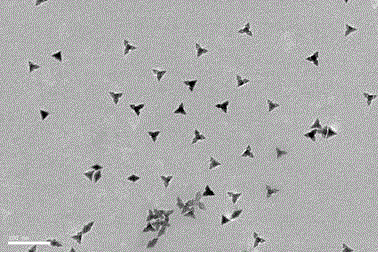 Controllable precious metal nanocatalyst synthesis method with amino acid as soft templates