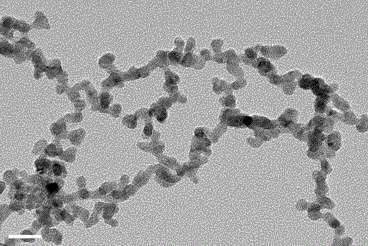 Controllable precious metal nanocatalyst synthesis method with amino acid as soft templates