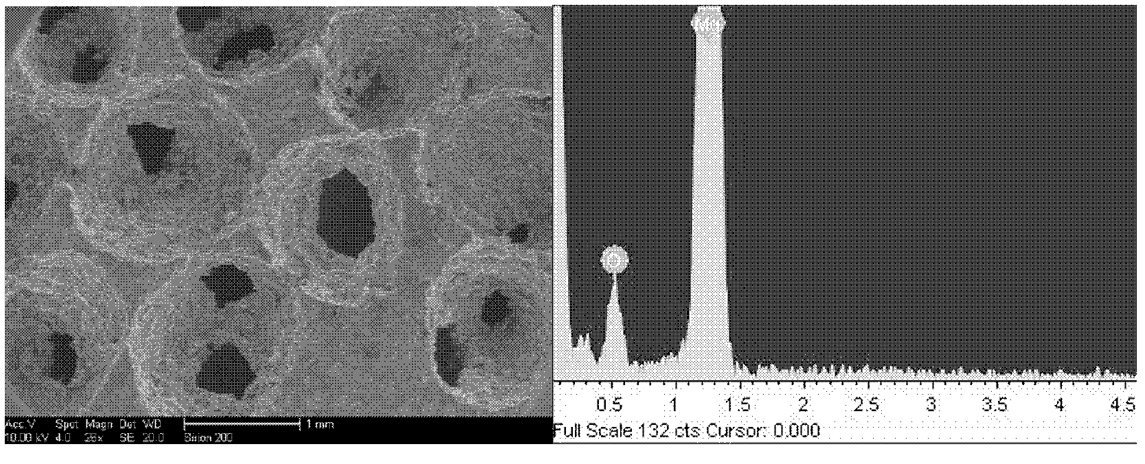 Preparation method for clean foam magnesium in bionic field