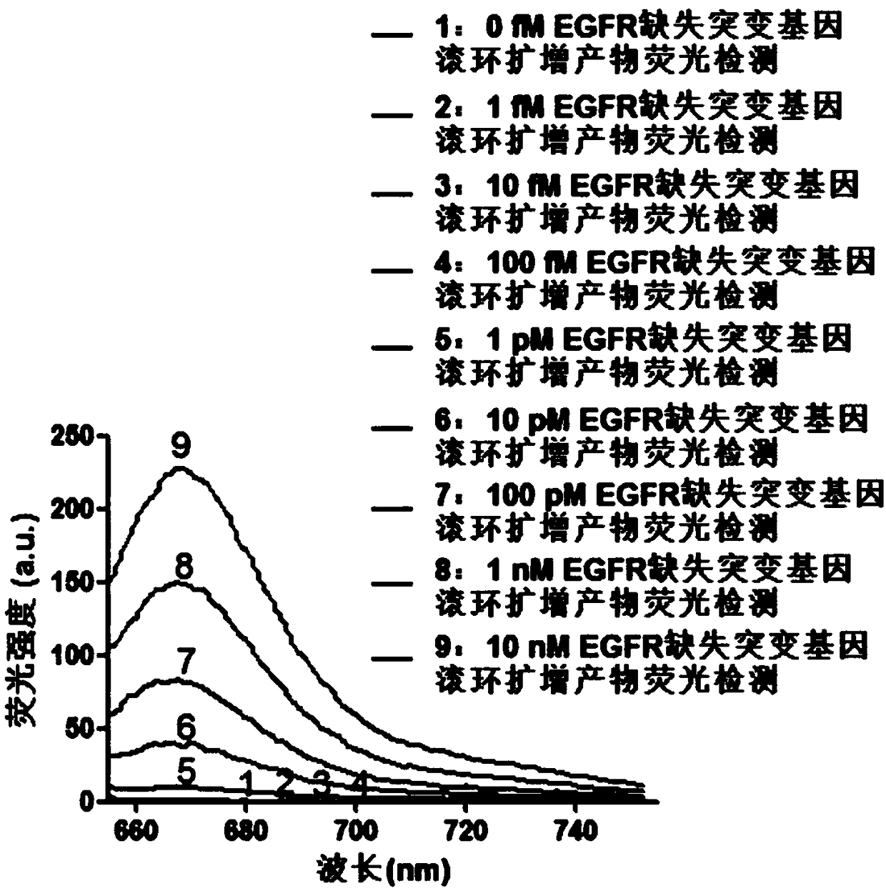 Fluorescence detection kit and fluorescence detection method for deletion mutation of gene