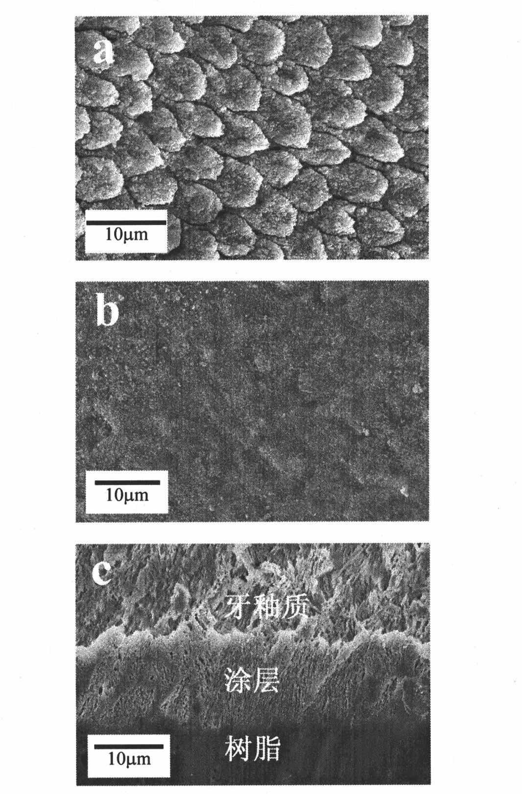 Composition for tooth-surface anticaries repair and preparation method thereof