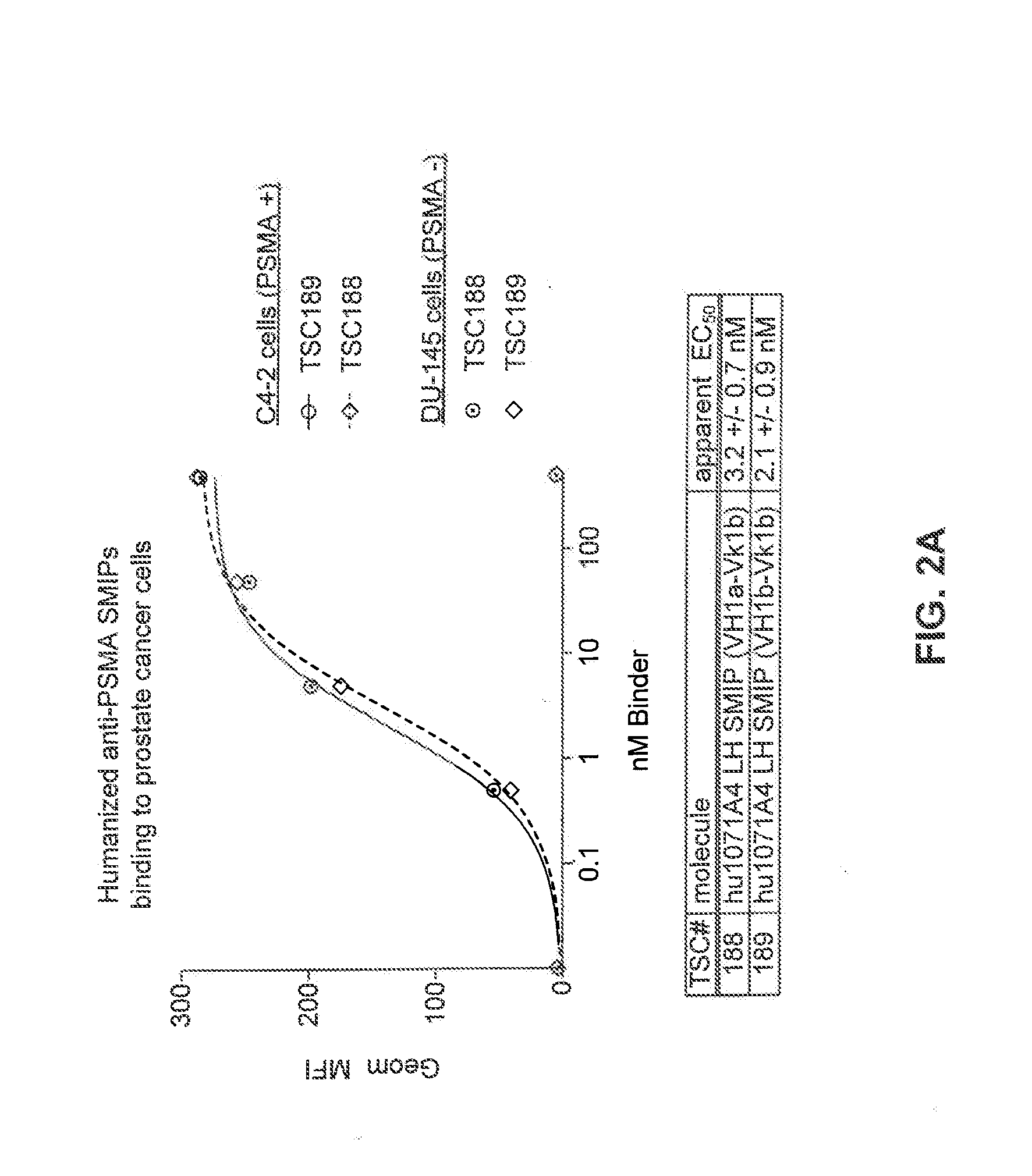 Prostate-Specific Membrane Antigen Binding Proteins and Related Compositions and Methods